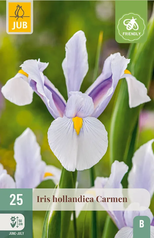 Koopje - JUB X 25 Iris hollandica Carmen