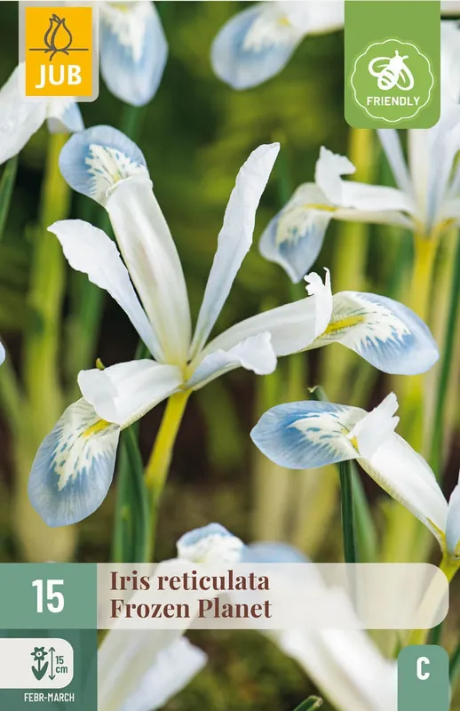 JUB X 15 Iris Frozen Planet - Uitverkoop