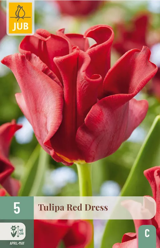 JUB X 5 Tulipa Red Dress - Hoog gewaardeerd