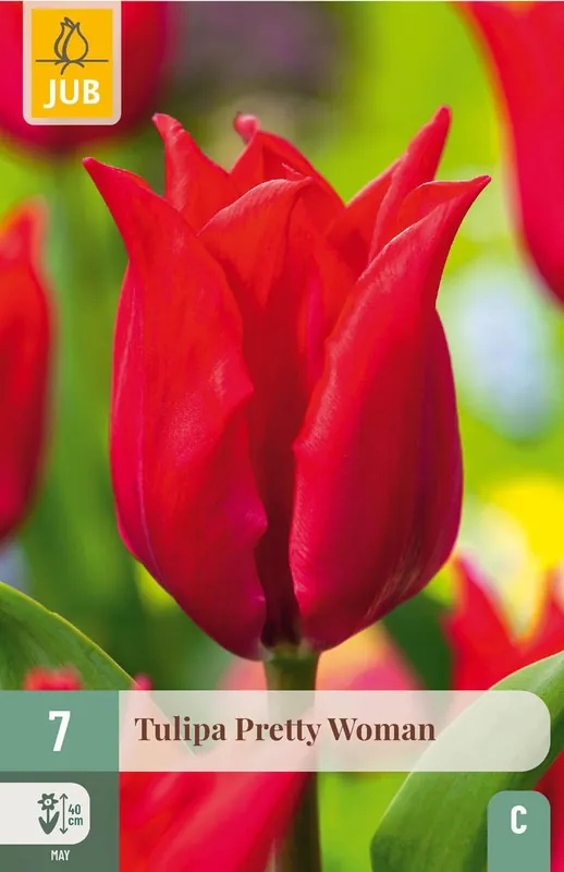 JUB X 7 Tulipa Pretty Woman - Spoedlevering