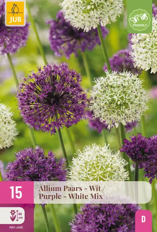 Verlaagde prijs - Allium paars/wit mix 15st
