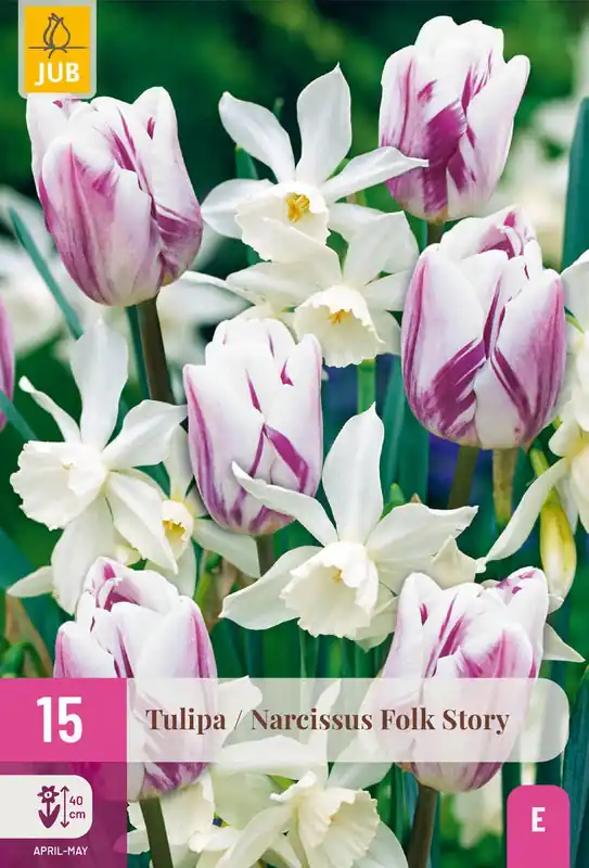 Tulipa/narcissus folk story 15st - Bestseller