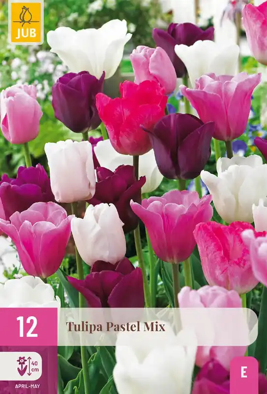 Tulipa pastel mix 12st - Veilige betaling