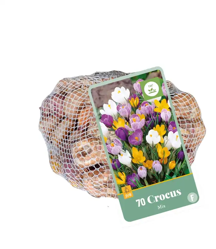 Crocus mix 70st - Voordeelprijs