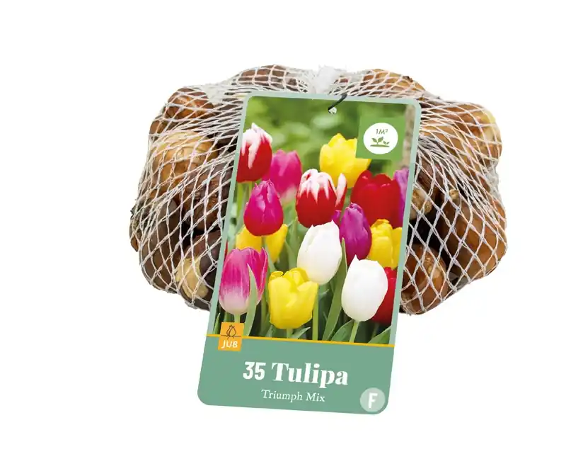 Nu kopen | Tulipa triumph mix 35st