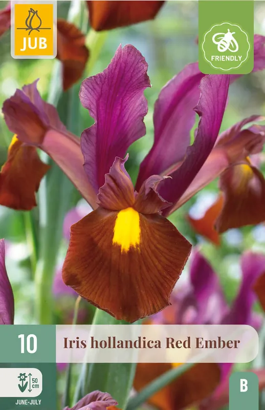 JUB X 10 Iris hollandica Red Ember | Nog maar enkele beschikbaar