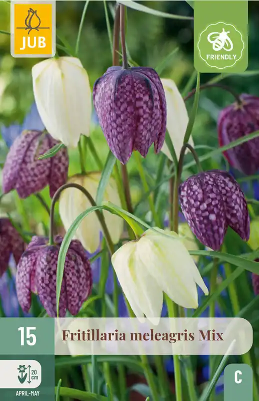 Populair bij klanten - JUB X 15 Fritillaria meleagris Mix