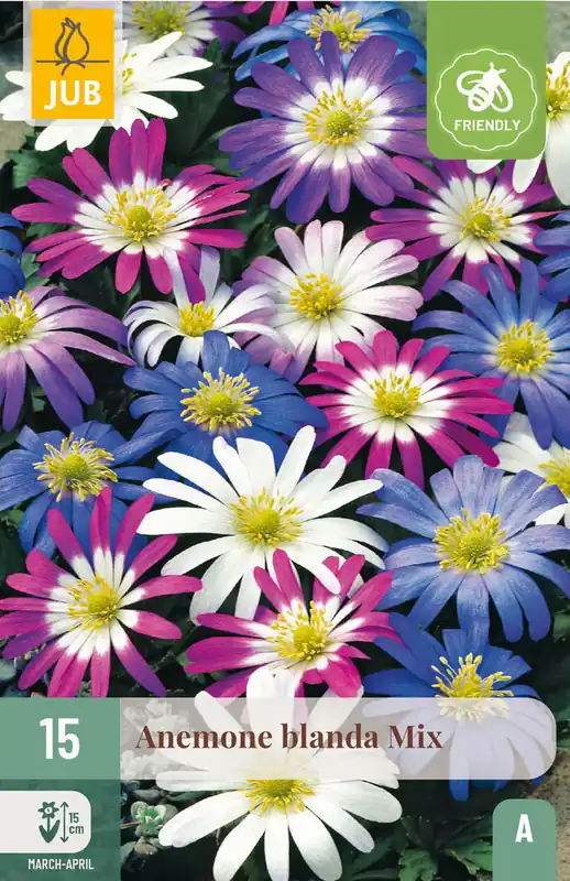 JUB X 15 Anemone blanda Mix - Veel voordeel