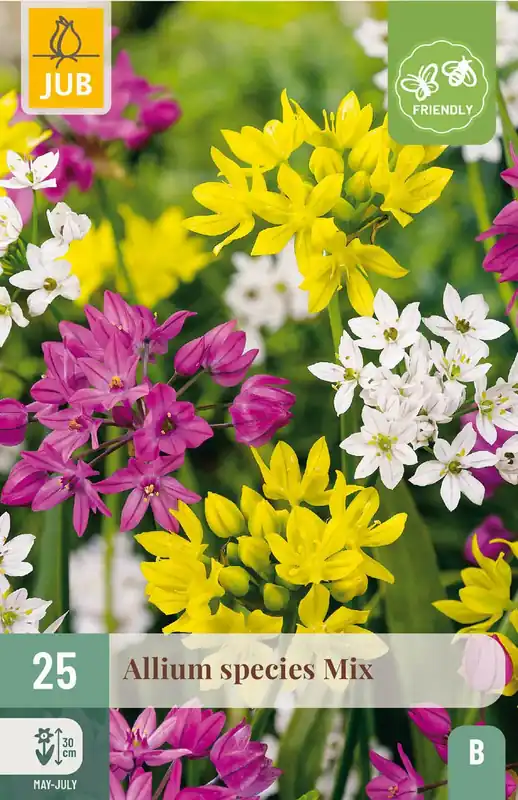 JUB X 25 Allium species Mix - Direct van de fabrikant