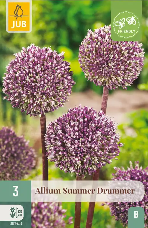 JUB X 3 Allium Summer Drummer | Extra korting