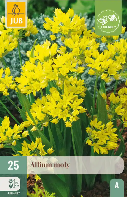 Makkelijk bestellen - JUB X 25 Allium moly