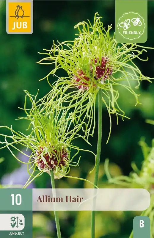 JUB X 10 Allium Hair | Op voorraad