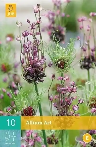 JUB X 10 Allium Art | Zeer goed beoordeeld