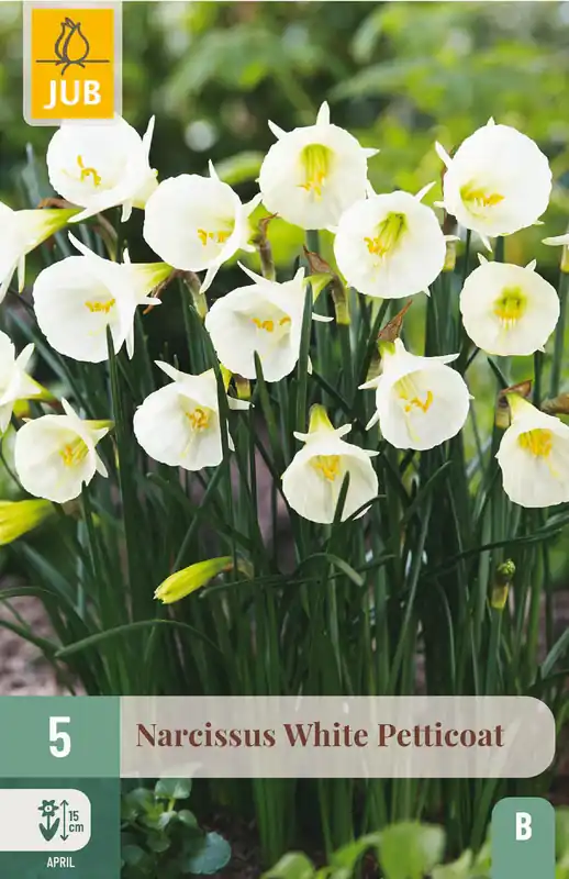 JUB X 5 Narcissus White Petticoat - Eenvoudig retourneren