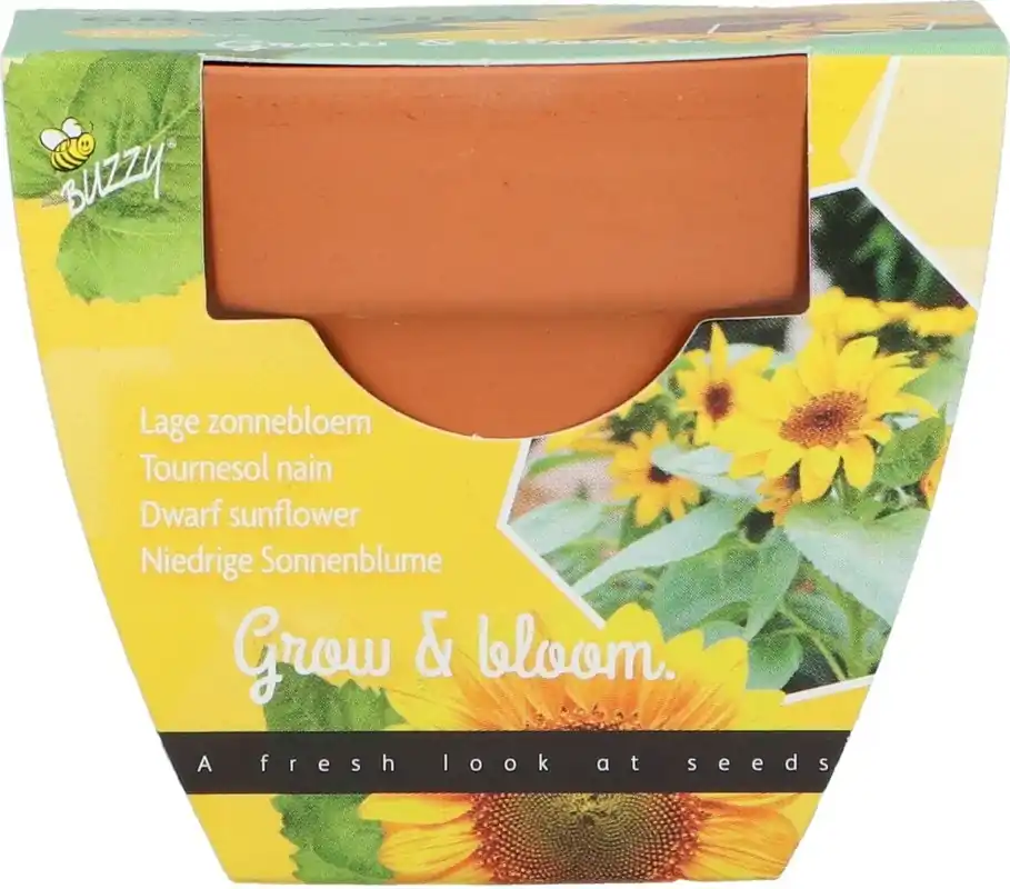 Extra voordeel - Buzzy Kweekset groeicadeau zonnebloem