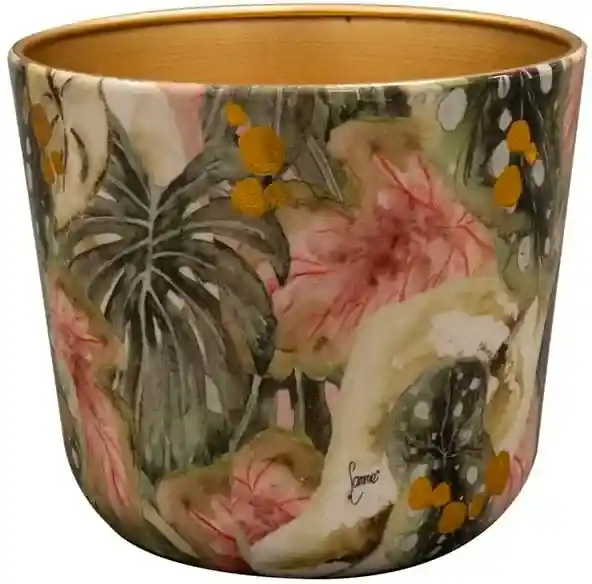 TS Pot monstera d16h14cm mystery - Laatste kans