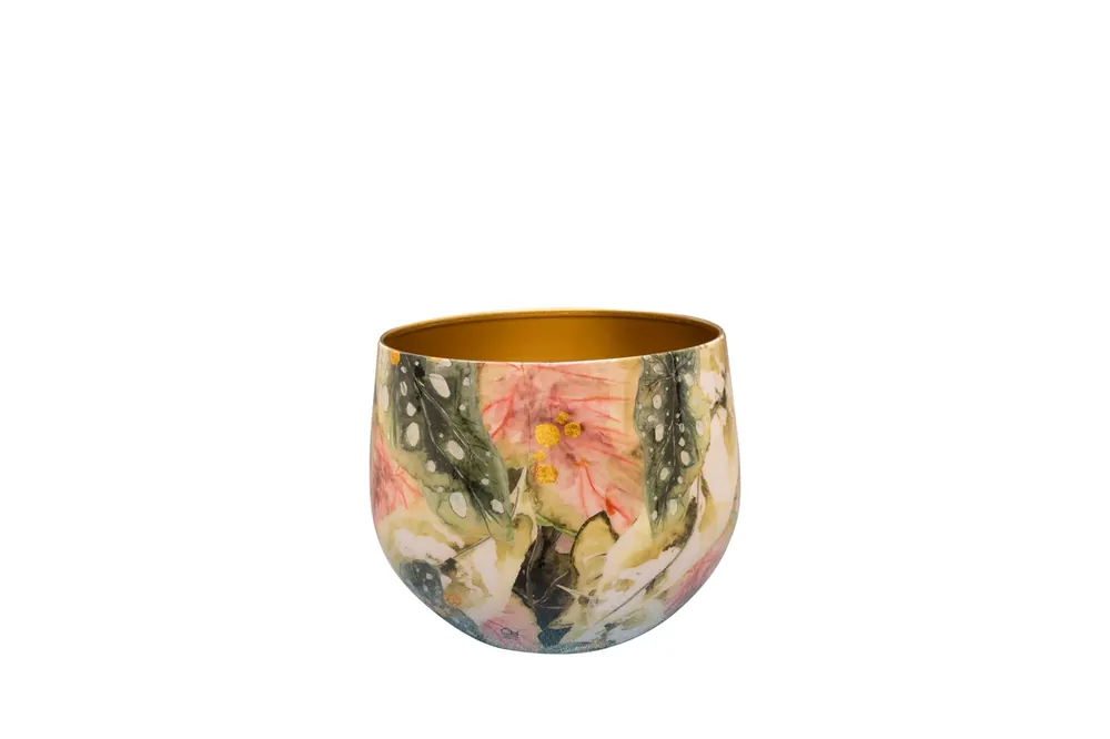 Slechts tijdelijk - TS Pot monstera mystery d9h7cm
