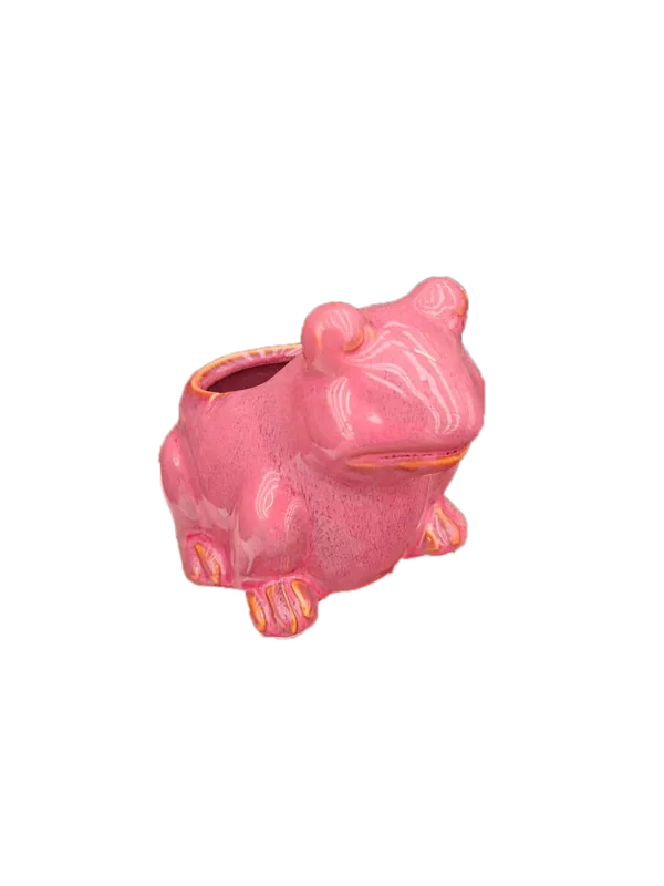 TS Pot kikker 15x10x11cm cherry | Voordeelprijs