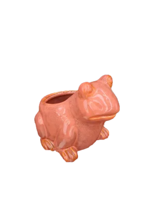 Zolang de voorraad strekt | TS Pot kikker 15x10x11cm laca