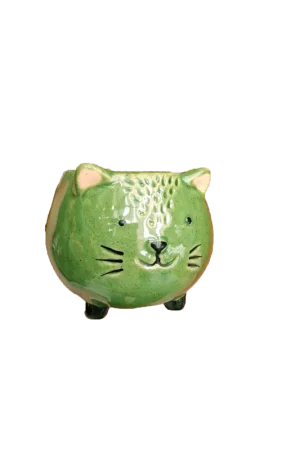 Voordeelprijs | TS Pot meow d9h8cm groen