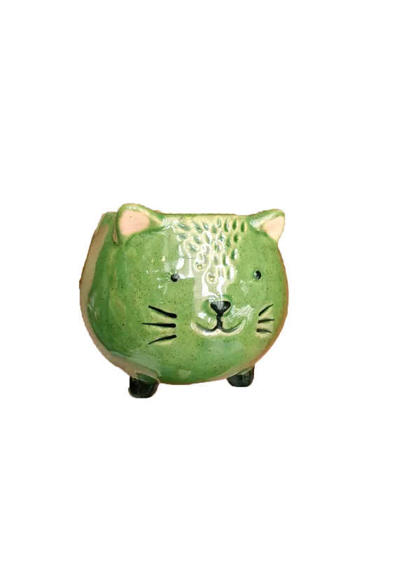 Voordeelprijs | TS Pot meow d9h8cm groen