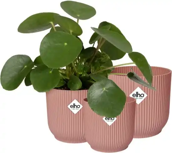 Nieuwe release | Elho Vibes Fold Rond - Bloempotten voor Binnen - 100% Gerecycled Plastic - Set van 3 - Ø 14, 16, 18