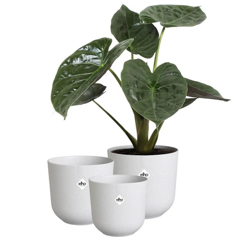 Elho Jazz Rond - Bloempotten voor Binnen - 100% Gerecycled Plastic - Set van 3 - Ø 14, 16, 19 cm - Z - Actie