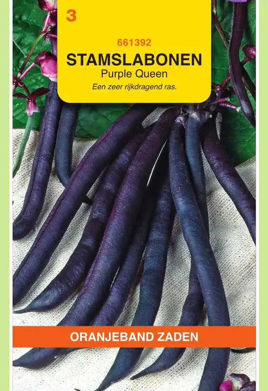 Oranjeband Zaden stamslabonen purple queen 25g | Favoriet van klanten