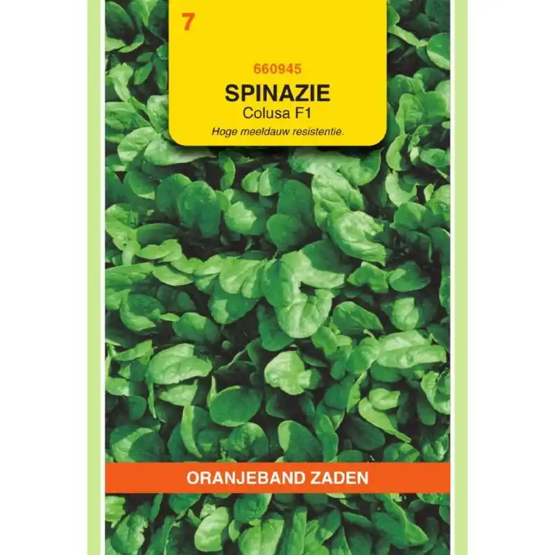 Nieuw binnen | OBZ Zaden spinazie colusa f1 25g