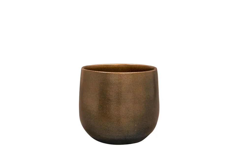 Professionele kwaliteit | TS Pot esra d26h26cm champagne