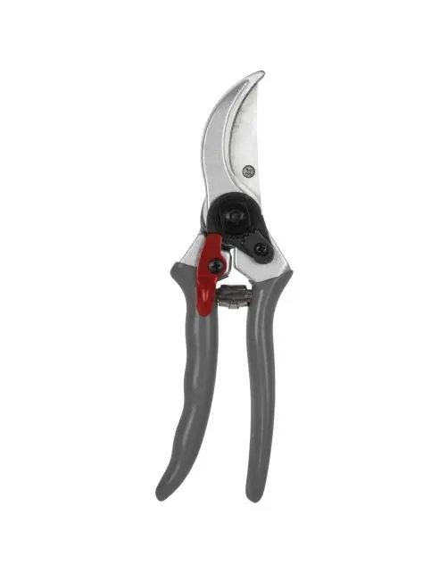Direct beschikbaar - TalenTools Snoeischaar vbs 18mm takken