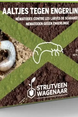 Aaltjes Tegen Engerlingen 100m² | Prijsverlaging