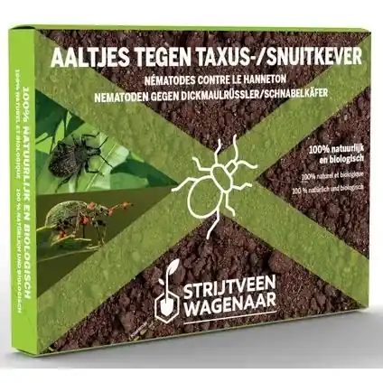 Beste prijs | Aaltjes Tegen Taxuskevers 10m²