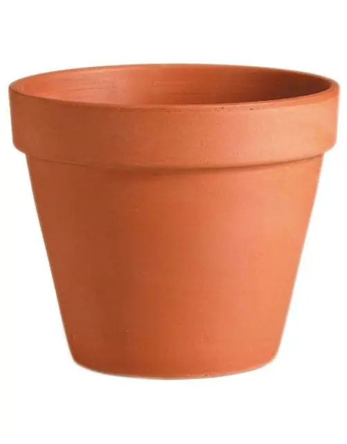 MC Pot roodsteen d25.1h21.7cm - Nu kopen