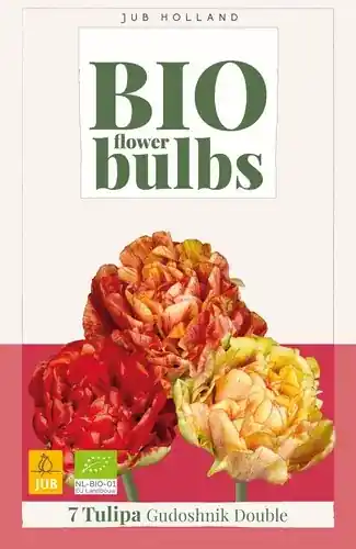 Direct bestellen | JUB Tulipa gudoshnik double bio 7st
