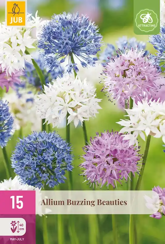 JUB Allium buzzing beauties 15st | Bestseller