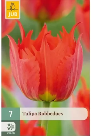 Alleen vandaag - JUB Tulipa robbedoes 7st