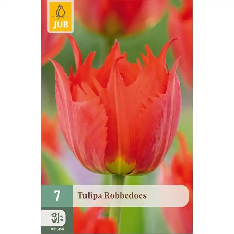 Alleen vandaag - JUB Tulipa robbedoes 7st
