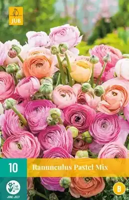JUB Ranunculus pastel mix 10st - Prijsverlaging