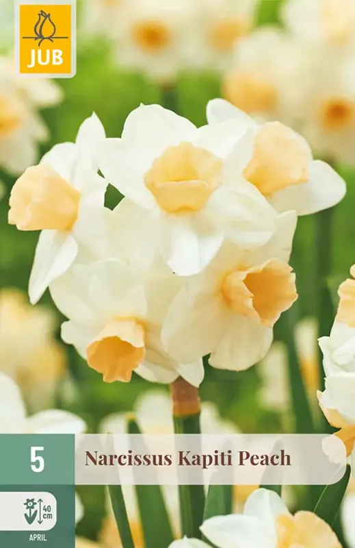 Expreslevering | JUB Narcissus kapiti peach 5st