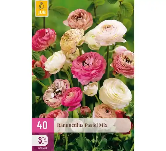 Tijdelijk aanbod | JUB Ranunculus pastel mix 40st