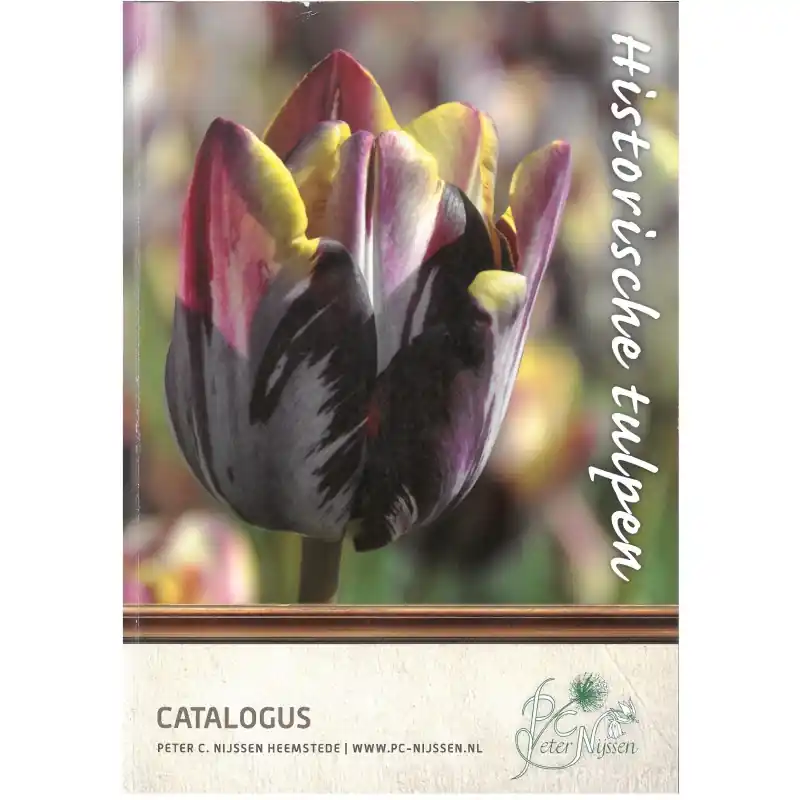 Brochure Historische Tulpen NL | Direct beschikbaar