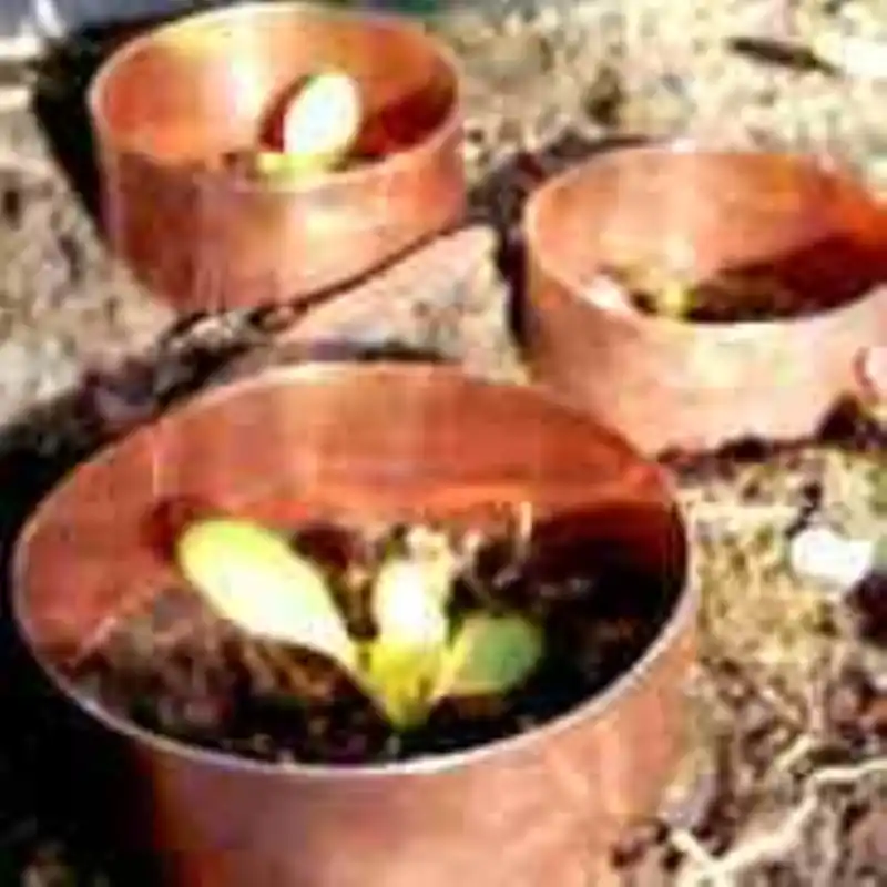 Lage prijs | Koperringen, set 15/20/30 cm.