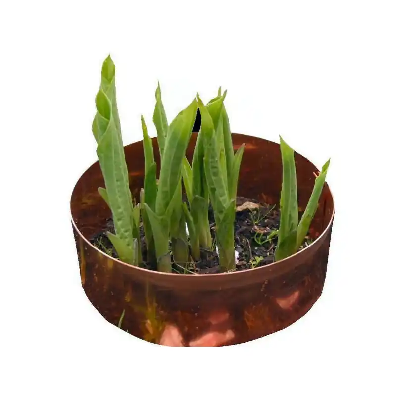 Nieuw binnengekomen - Koperring, set 3 stuks 30 cm.