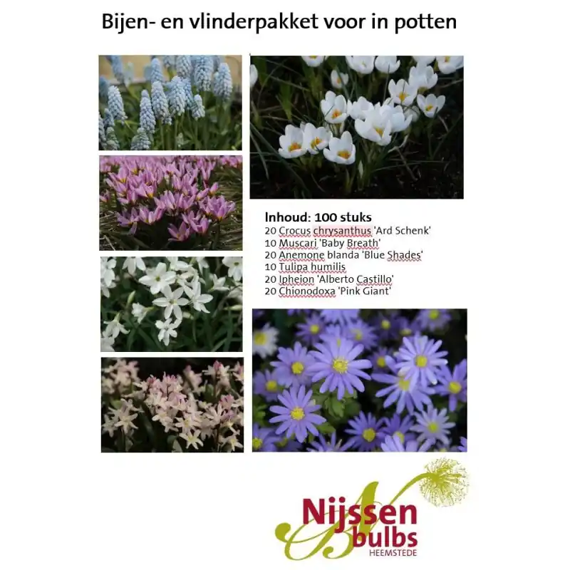 Bijenpakket voor in potten - 100 stuks - Populair bij klanten