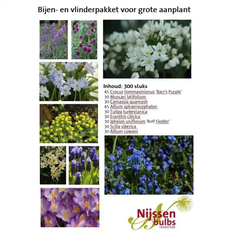 Bijenpakket voor de grote aanplant - 300 stuks. - Korting
