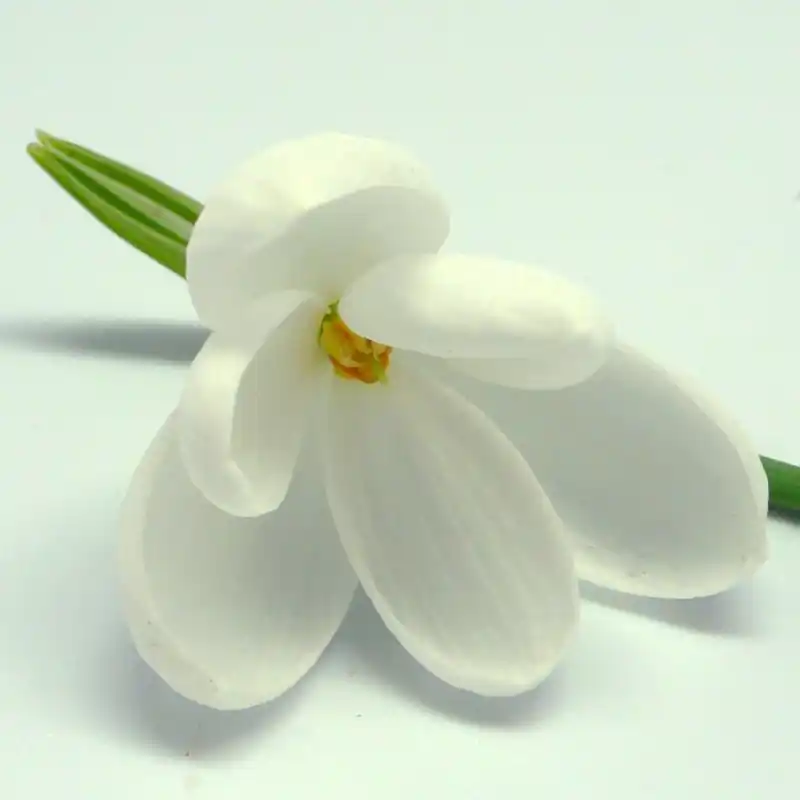 Galanthus ‘E.A. Bowles‘ - Bestelbaar