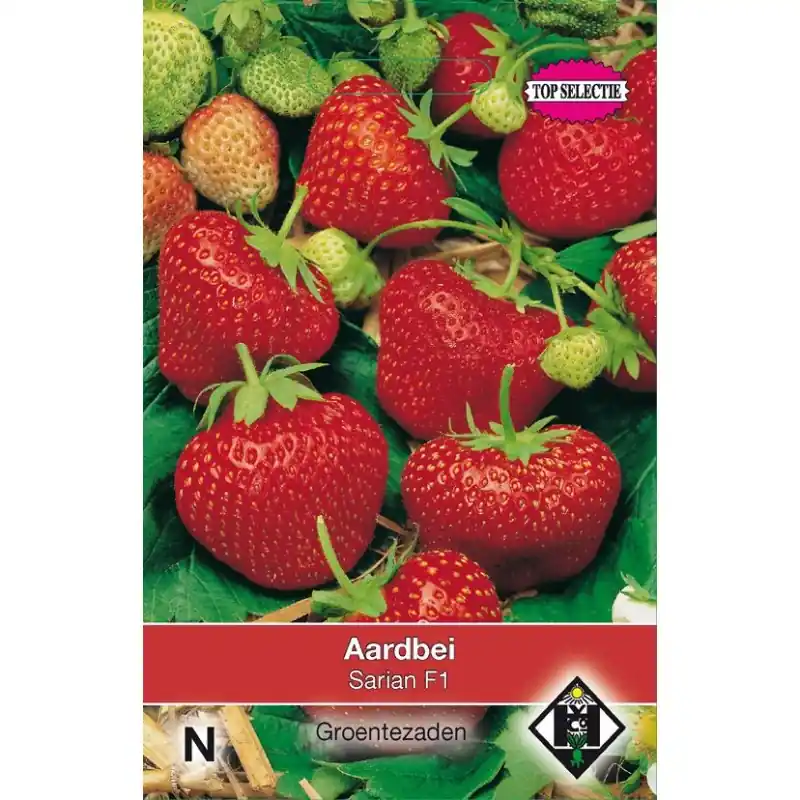 Aardbei, Fragaria x ananassa ‘Delician F1‘ -zaden- - Profiteer nu
