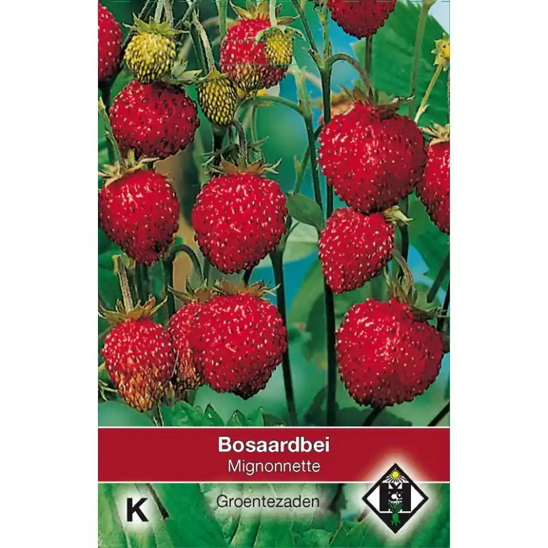 Bosaardbei, Fragaria vesca ‘Mignonnette‘ -zaden- - Outlet