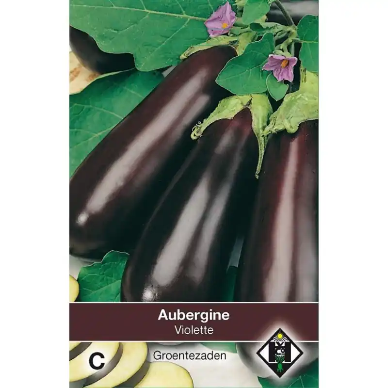 Nieuw binnen - Aubergine, Solanum melongena ‘Halflange Violette‘ -zaden-